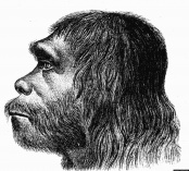 День неандертальца: 160 лет назад, в 1857 году, научной общественности впервые представили неандертальца