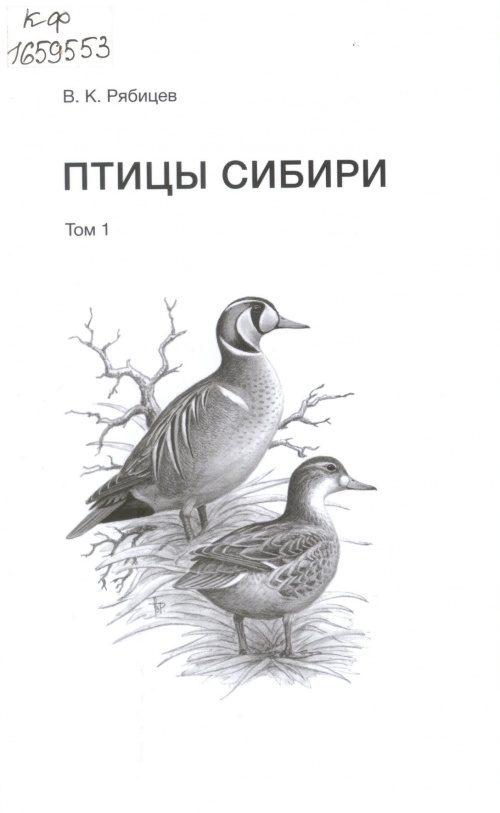 Птицы Сибири