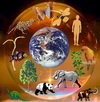 День экологической информации "Земля - наш общий дом"