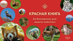 Красная книга. Ко всемирному дню защиты животных
