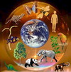 5 июня – Всемирный день охраны окружающей среды