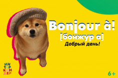 Урок французского языка «Bonjour à! Давай поговорим по-французски» 